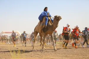 MDS 15 Six Physio